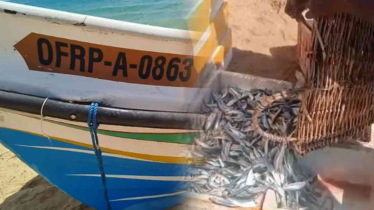 கடலில் சட்டவிரோத தொழிலில் ஈடுபட்ட 8 பேர் கைது