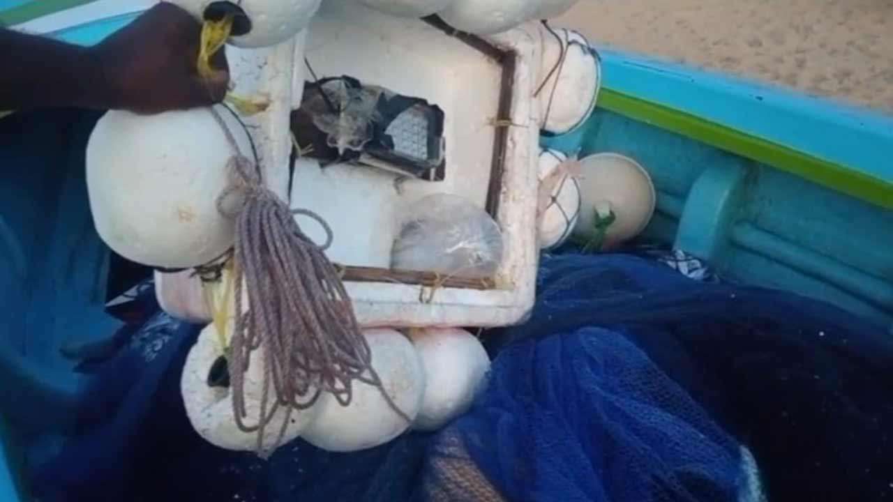 சட்டவிரோத மீன்பிடி நடவடிக்கையில் ஈடுபட்ட 9 பேருக்கு விளக்கமறியல்