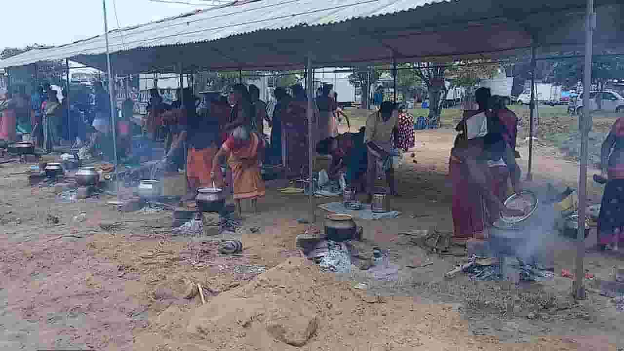 பங்குனி உத்தரப்பொங்கல்