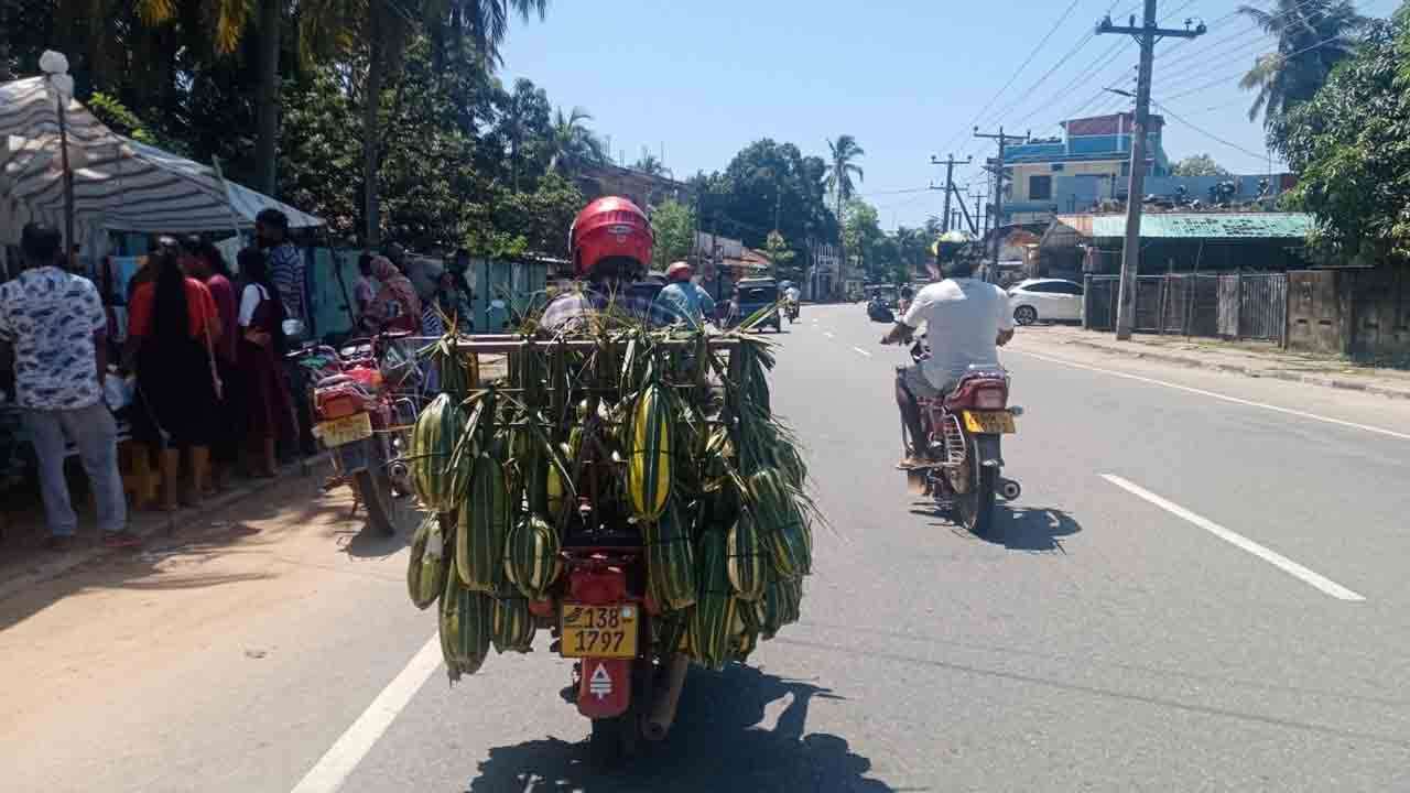 வெள்ளரிப்பழ விற்பனை அதிகரிப்பு