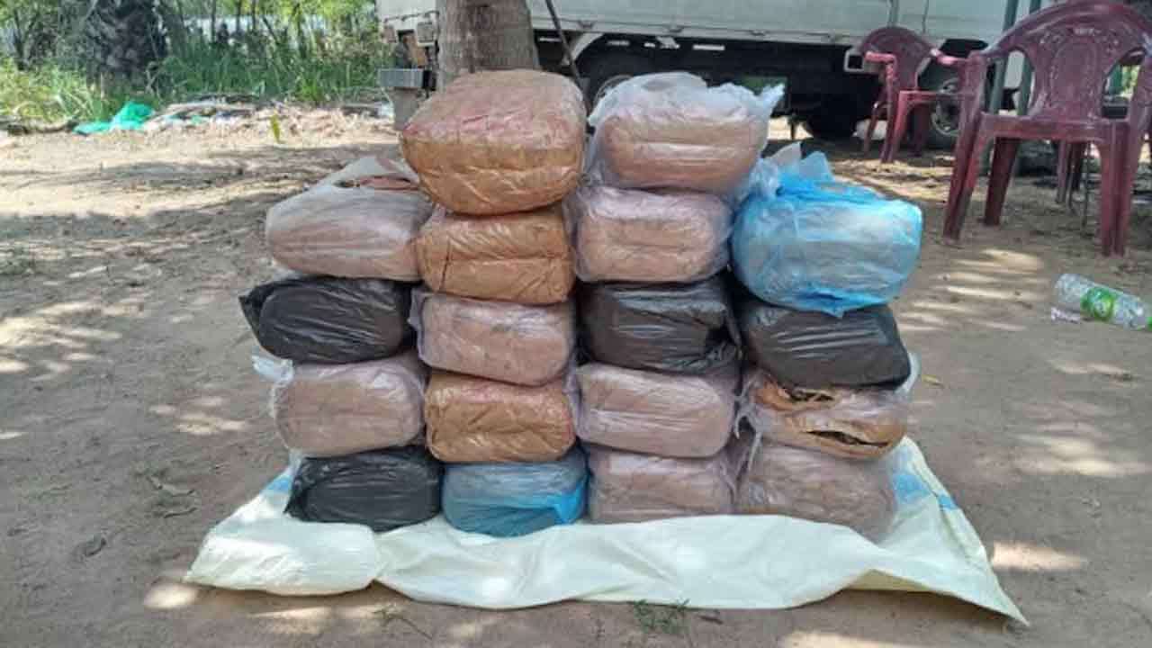 கிளிநொச்சியில் 85 கிலோவுக்கும் அதிகமான கஞ்சாவுடன் ஒருவர் கைது