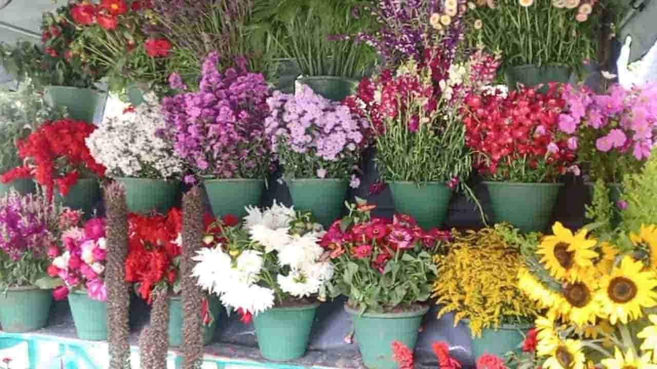 விக்டோரியா பூங்காவில் மலர் கண்காட்சி திறந்து வைப்பு 
