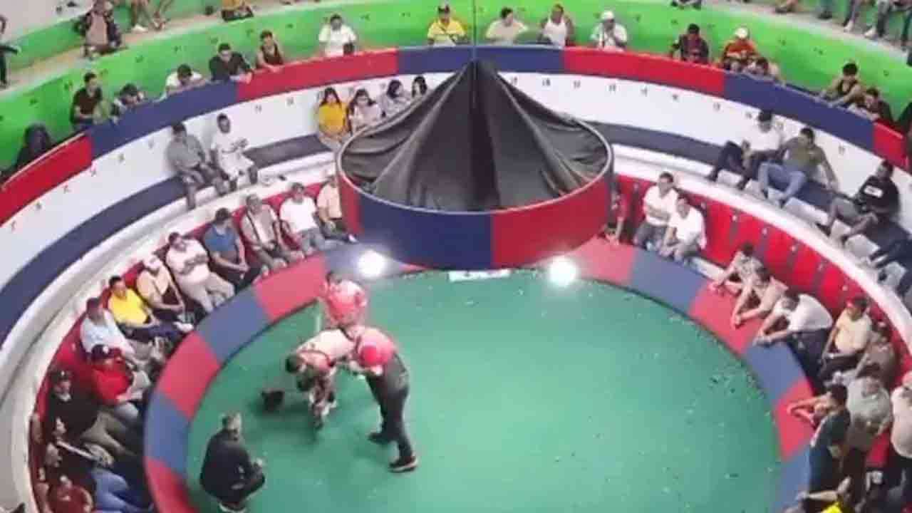 சேவல் சண்டை அரங்கில் துப்பாக்கிச் சூடு - பலர் பலி