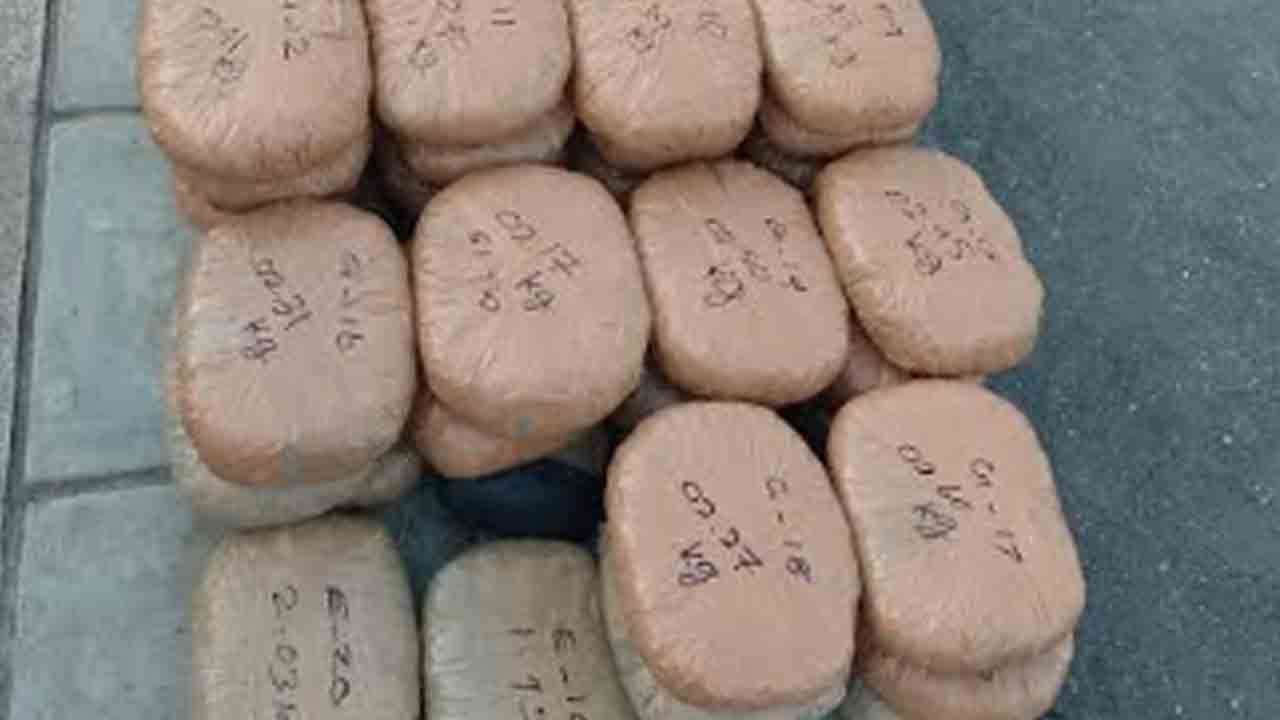 யாழில் 310 கிலோ கிராம் கேரள கஞ்சா சிக்கியது