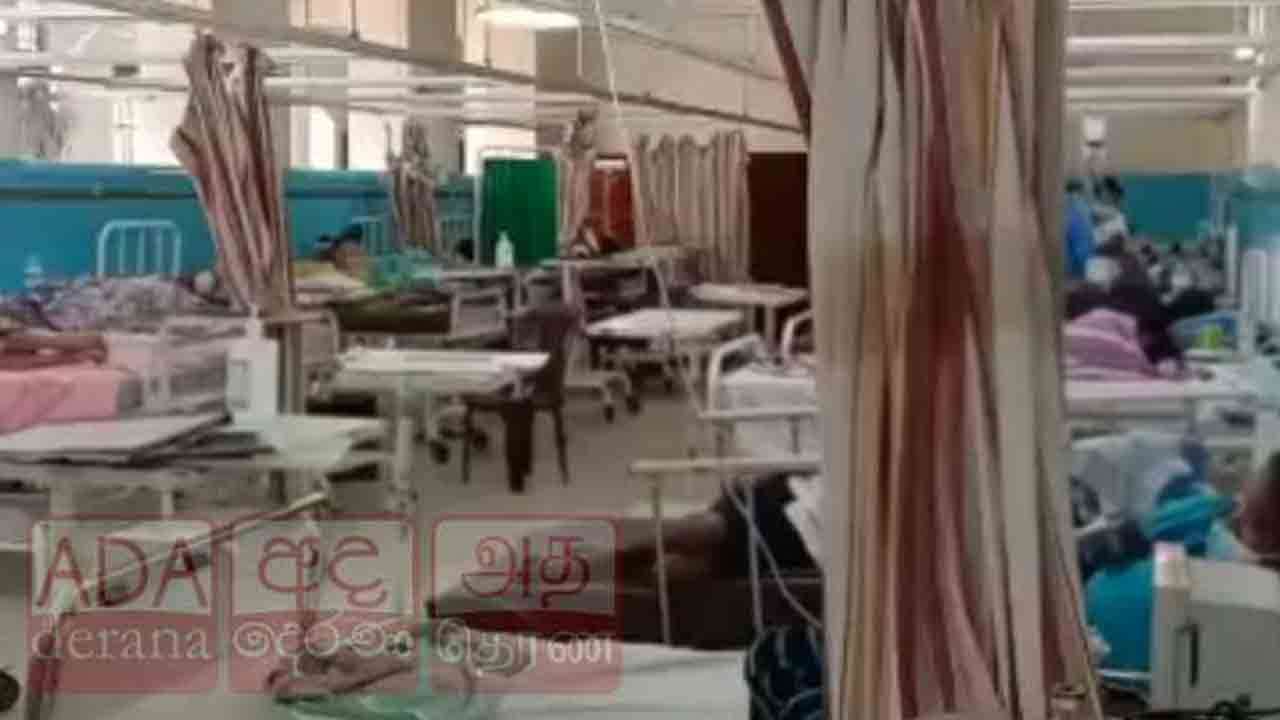 நாட்டில் தீவிரமாக பரவும் டெங்கு நோய்