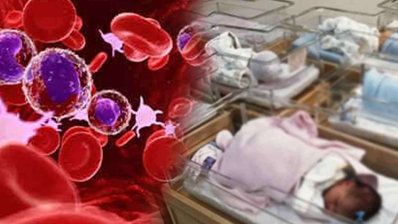 புதிதாகப் பிறக்கும் குழந்தைகளிடையே தலசீமியா நோய் அதிகரிப்பு