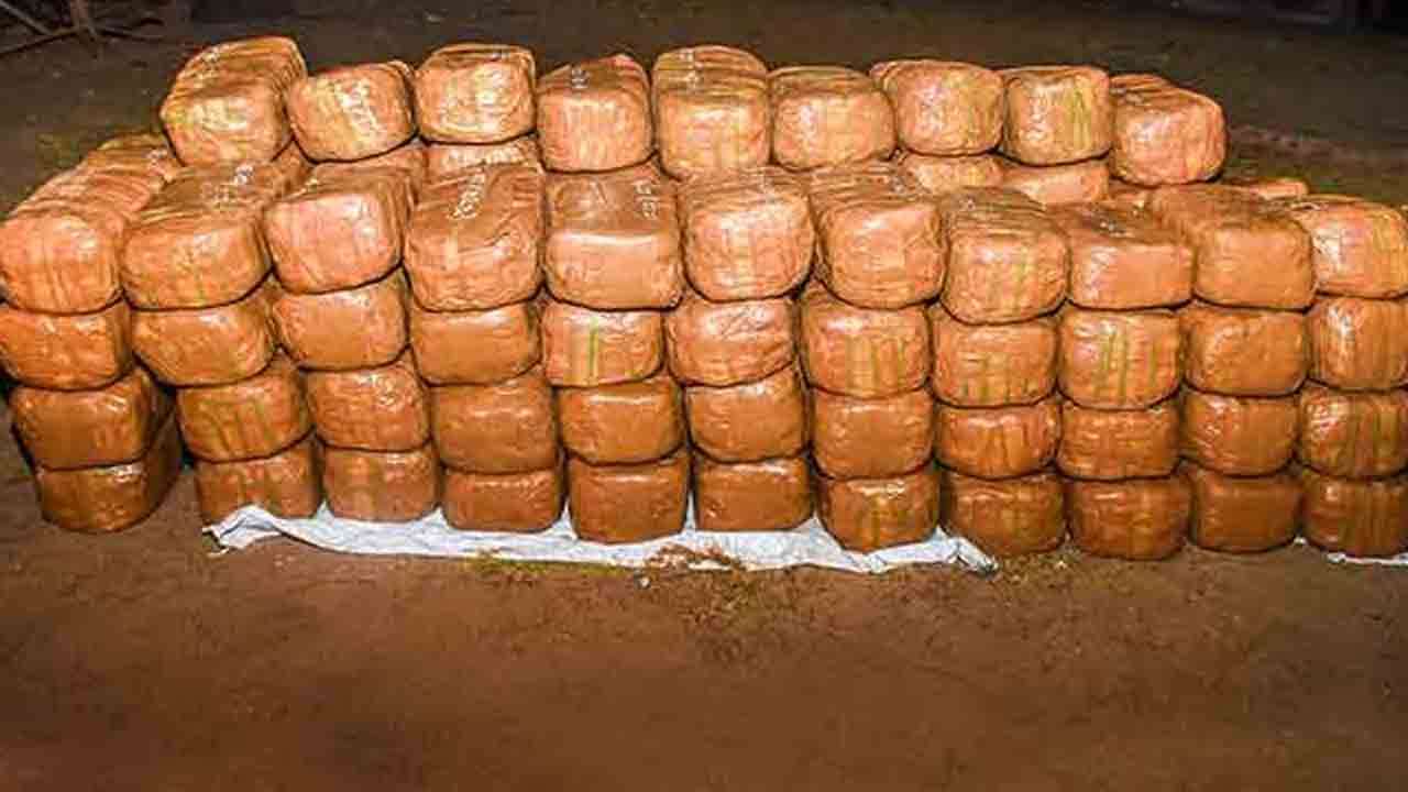 மன்னாரில் பெருமளவான கேரள கஞ்சா சிக்கியது