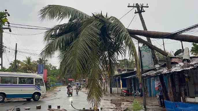 மின்வயரின் மீது முறிந்துவீழ்ந்த மரம்!