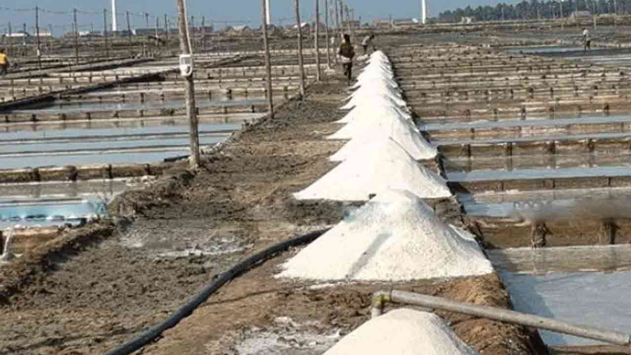 கடும் மழையால் புத்தளத்தில் 15,000 மெற்றிக் தொன் உப்பு சேதம்