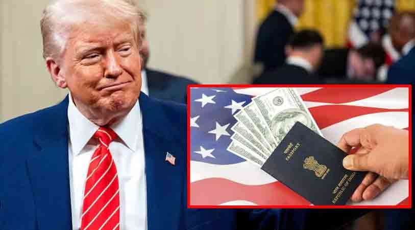 வெளியேறாவிட்டால் நாடு கடத்தப்படுவீர்கள்