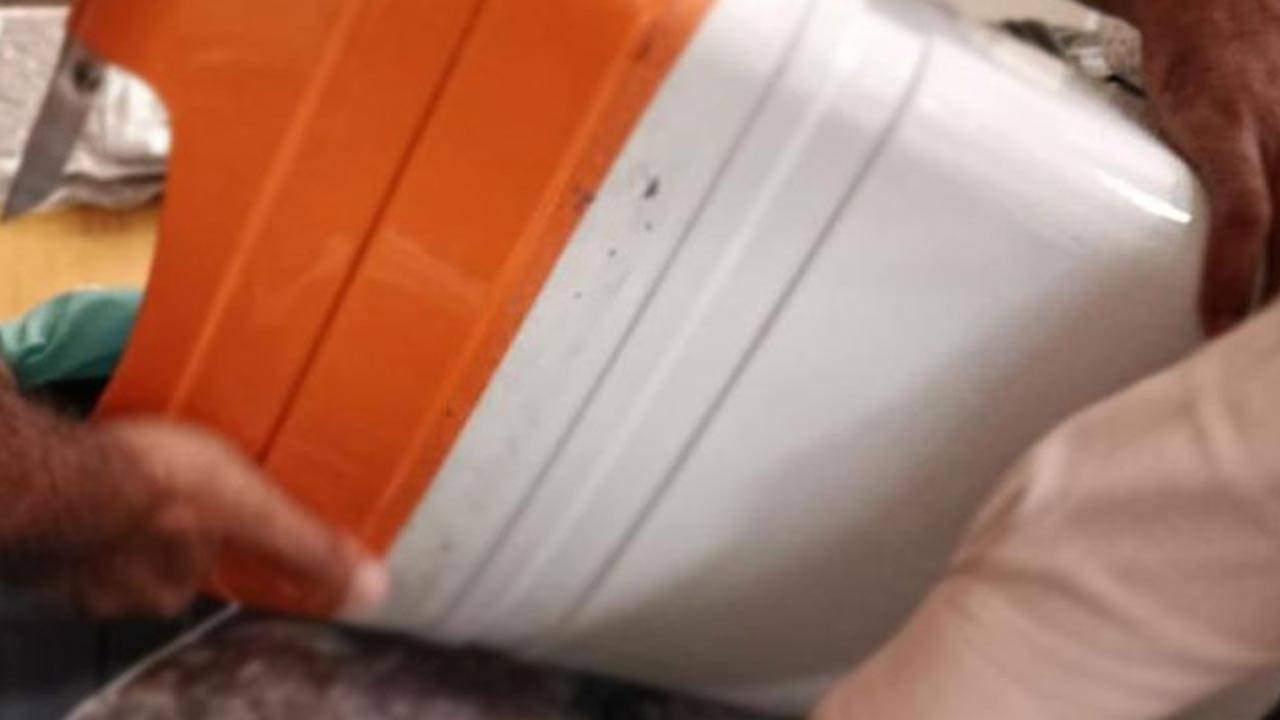 7 கோடி ரூபாவுக்கும் அதிக பெறுமதியான 'குஷ்' போதைப்பொருட்கள் மீட்பு