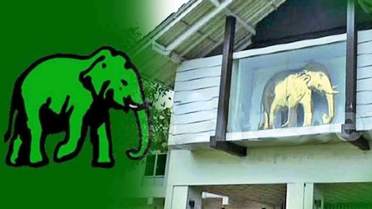 உள்ளூராட்சி சபைகளுக்கான உறுப்பினர் தெரிவு குறித்து ஐ.தே.கட்சியின் தீர்மானம்