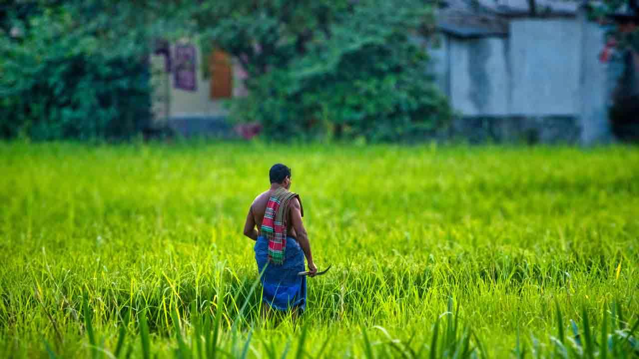 விவசாயிகளுக்கு உரமானியமாக இதுவரை 190 மில்லியன் ரூபா வைப்பில்