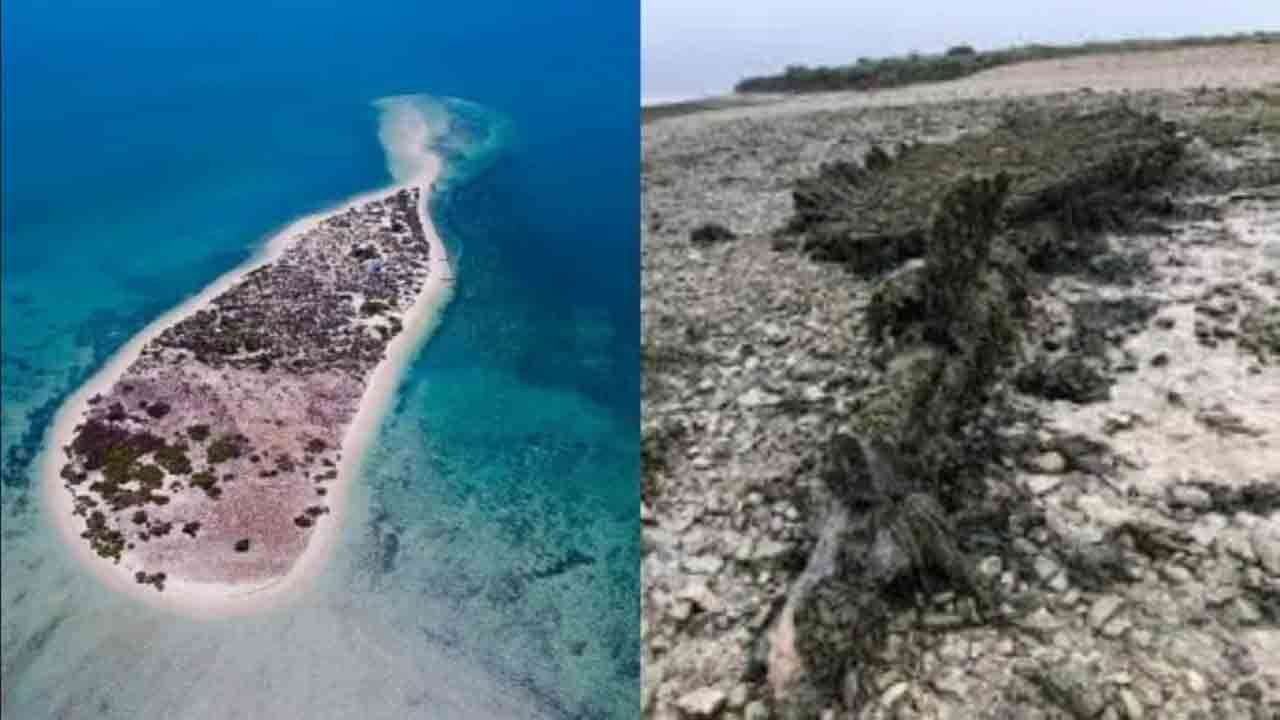 கடலில் மூழ்கும் சல்லி தீவு!