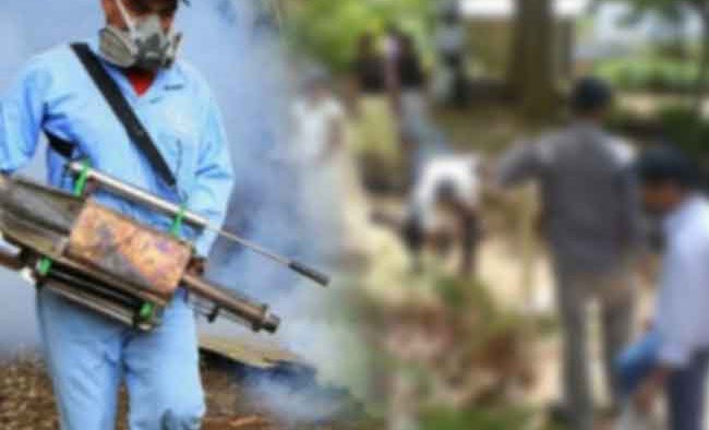 நுளம்பு முட்டைகளுடன் கூடிய 1,470 இடங்களுக்கு எதிராக சட்ட நடவடிக்கை