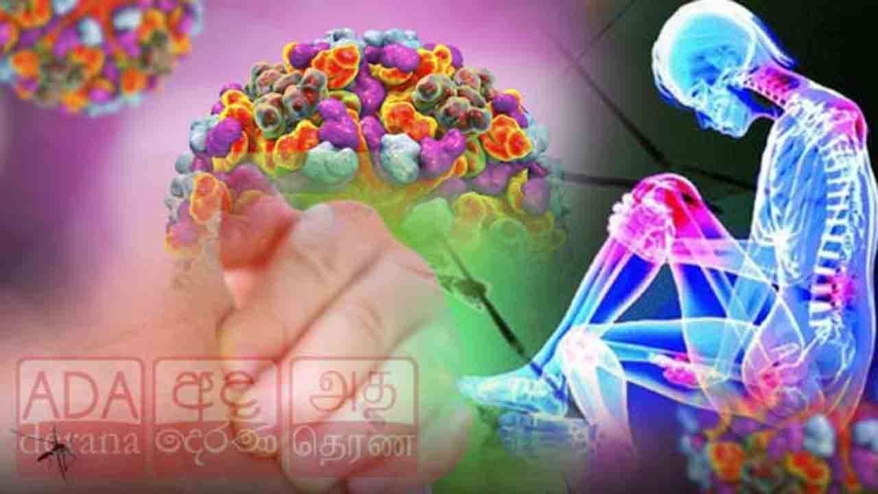 சிக்குன்குன்யா நோய் குறித்து விடுக்கப்பட்டுள்ள எச்சரிக்கை