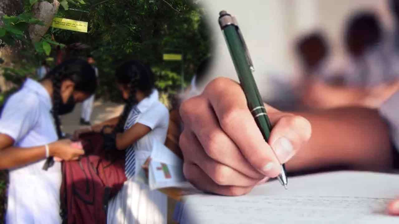 பல்கலைக்கழக வாய்ப்பு கிடைத்த மாணவர்களுக்கு விசேட அறிவிப்பு