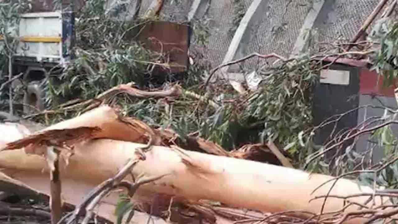 சீரற்ற வானிலையால் ஏற்பட்டுள்ள பாதிப்புக்கள்