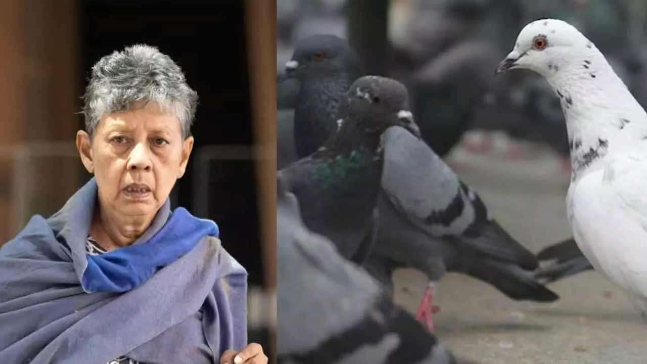 மூதாட்டிக்கு 80,000 ரூபா அபராதம் விதிப்பு