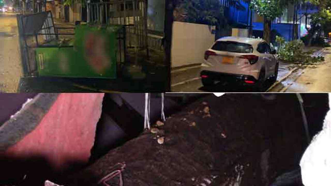 கொழும்பில் முறிந்து விழுந்த மரங்கள் 