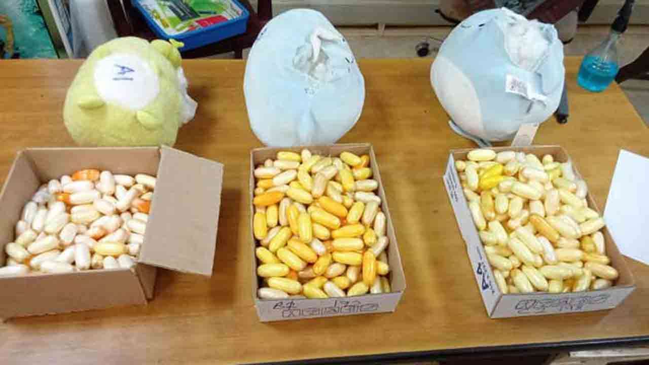 டெடி பியர் பொம்மையை சோதனையிட்ட அதிகாரிகளுக்கு காத்திருந்த அதிர்ச்சி