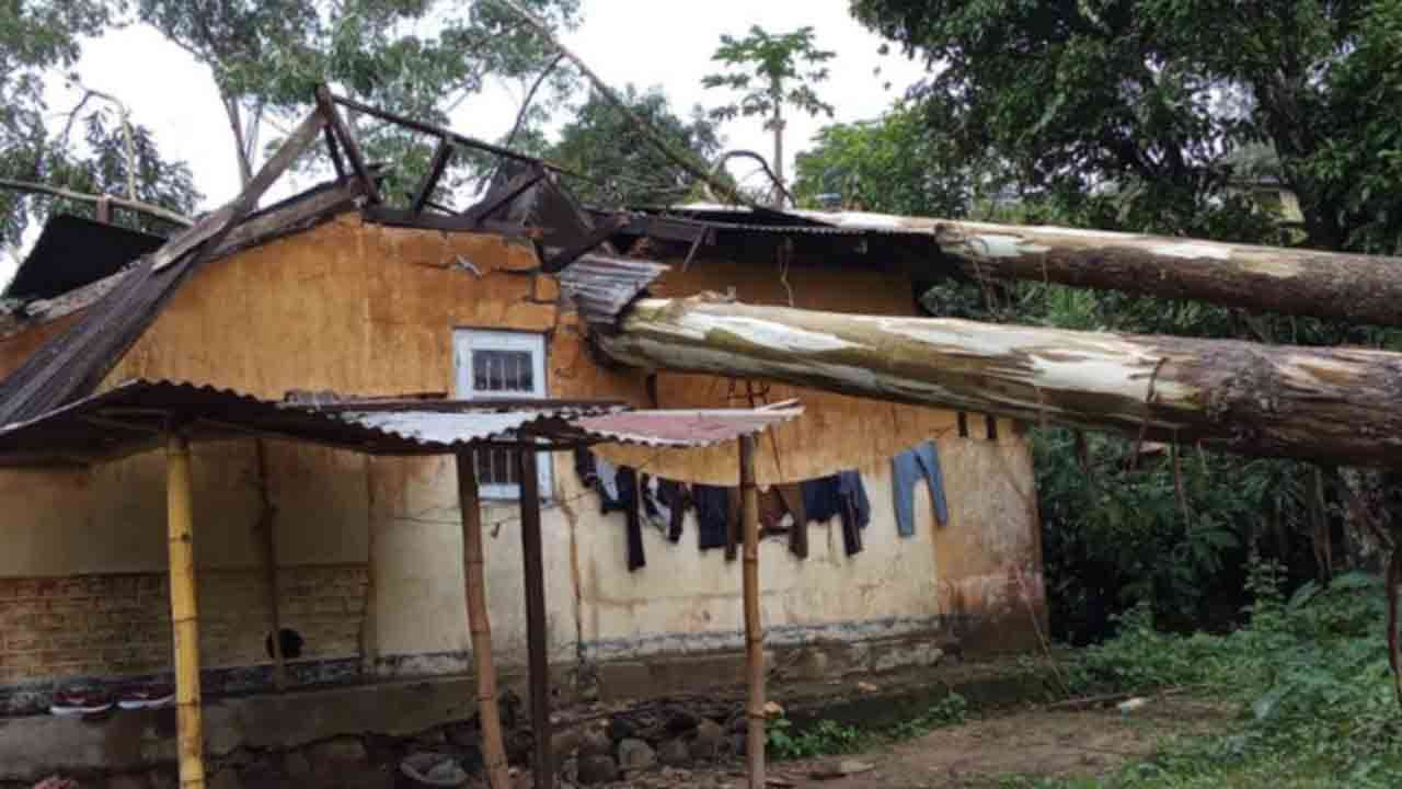 வீடொன்றின் மீது விழுந்த பாரிய மரம்