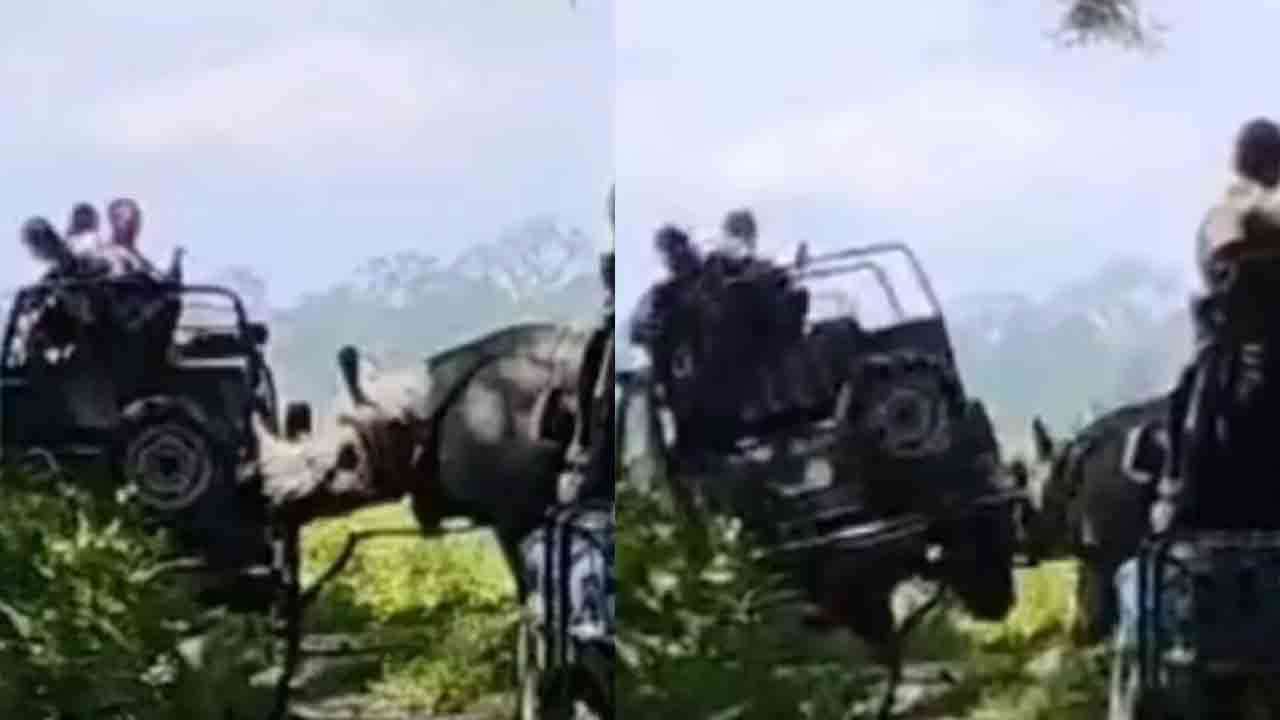 சுற்றுலா பயணிகளின் ஜீப்பை கவிழ்க்க முயன்ற காண்டாமிருகம்!