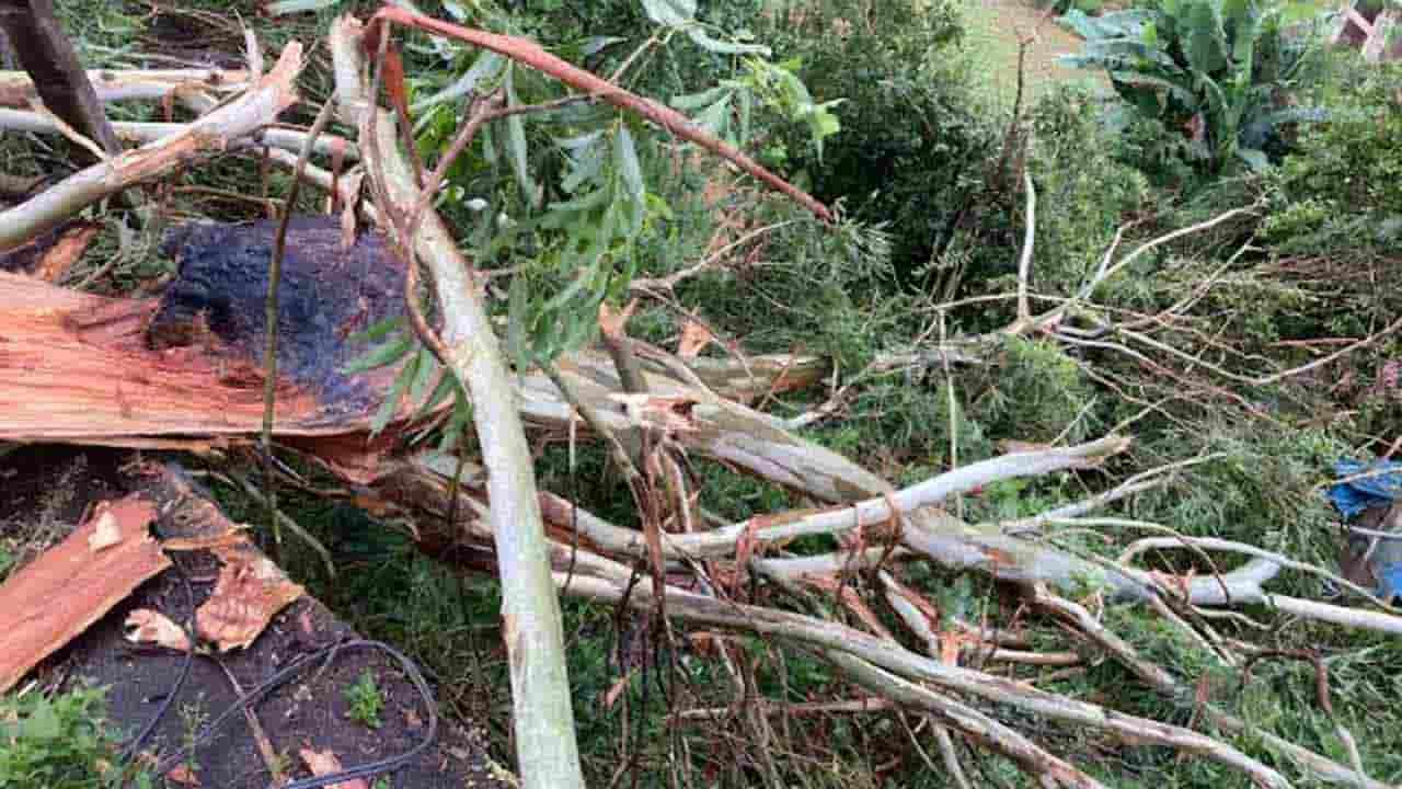 ஹட்டனில் பல பகுதிகளுக்கு மின்சார விநியோகம் பாதிப்பு