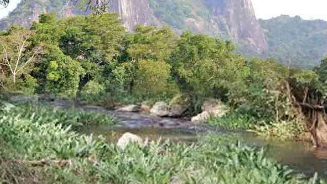 நில்கல காடு தொடர்பில் நாளை வௌியாகவுள்ள அறிவிப்பு