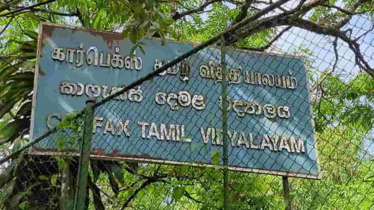 ஆபத்தான மரங்களினால் இரண்டு நாள் விடுமுறை