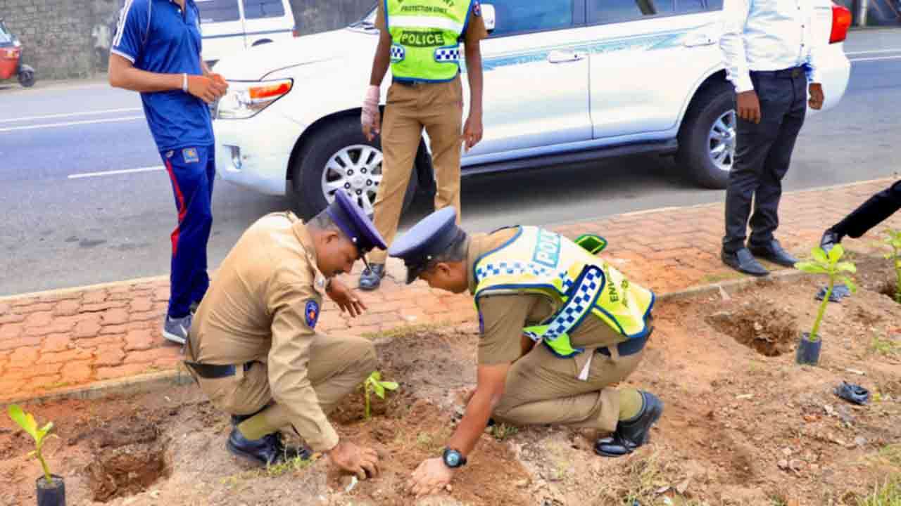  1600 "தக்கட" கன்றுகளை நட்டு பராமரிக்கும் திட்டம் ஆரம்பம்