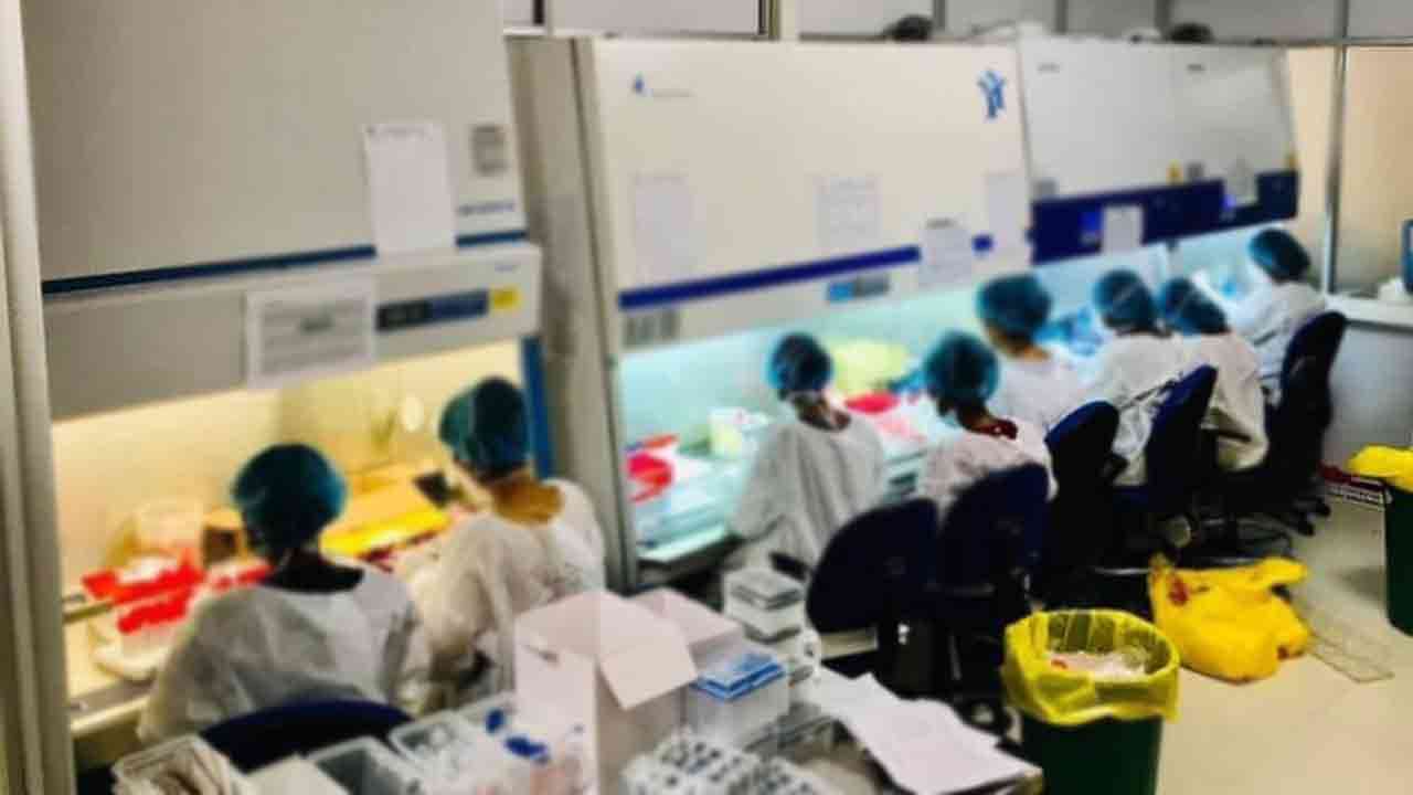மருத்துவ ஆய்வக தொழில் வல்லுனர்களின் வேலை நிறுத்தம் கைவிடல்