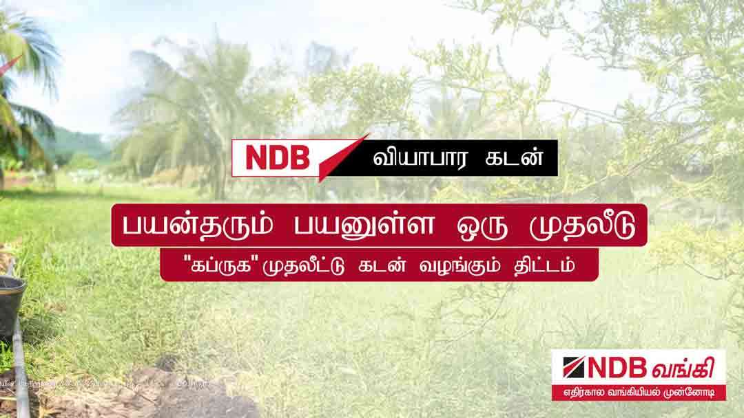 கப்ருக அயோஜன முதலீட்டு கடன் திட்டம் மூலம் தெங்கு பயிர்ச்செய்கையாளர்களை வலுப்படுத்தும் NDB வங்கி