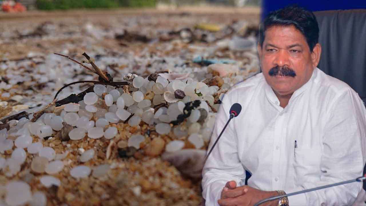 பெருமளவில் கரையொதுங்கும் Plastic Pellets!  