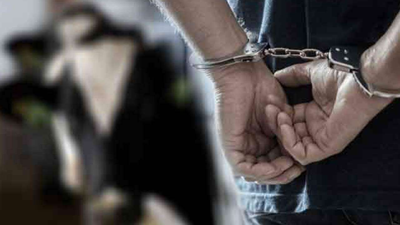 மாடுகளை திருடிய சந்தேகநபர்கள் கைது