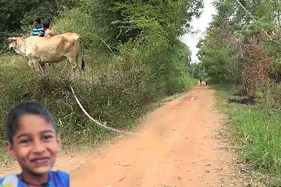 பசுவின் கயிற்றில் சிக்கி உயிரிழந்த சிறுவன்