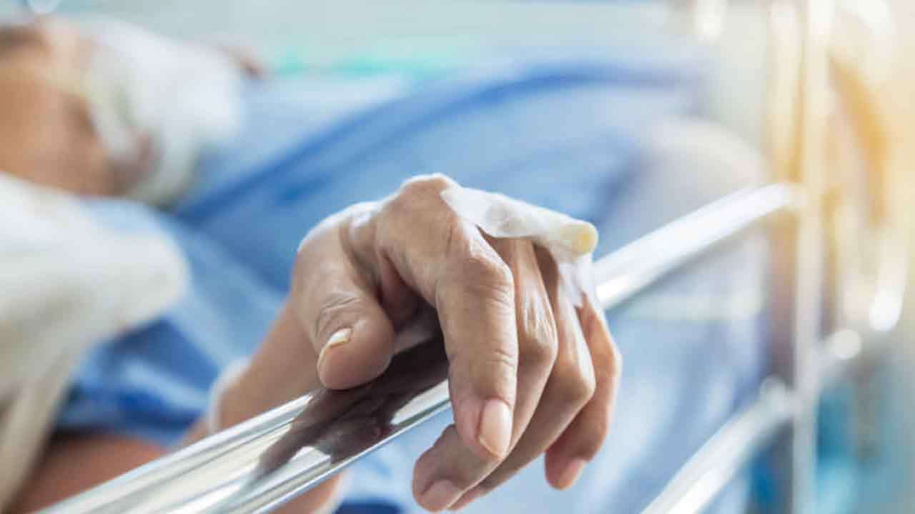 குளவிகள் கொட்டியதில் 08 பேர் மருத்துவமனையில் அனுமதி