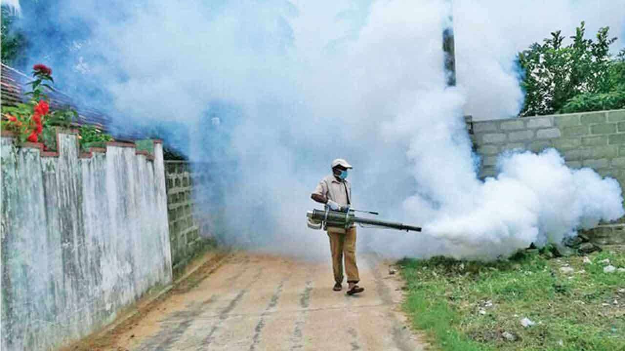 16 மாவட்டங்களில் டெங்கு ஒழிப்பு வாரம்