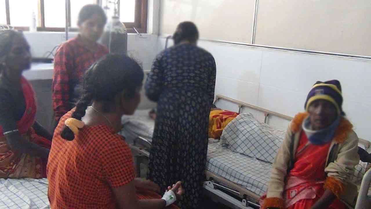 குளவி கொட்டுக்கு இலக்காகி பெண் தொழிலாளர்கள் வைத்தியசாலையில் அனுமதி