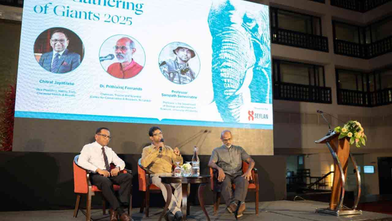 ஆசியாவின் மிகப்பெரிய  யானைகளின் சந்திப்பு 