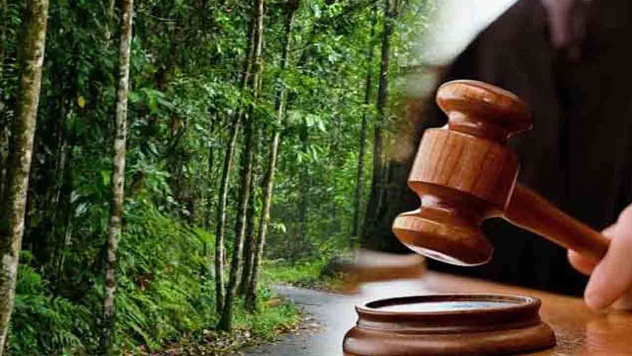 சிங்கராஜ வீதிக்கு எதிரான மனுவை விசாரணை  செய்ய அனுமதி