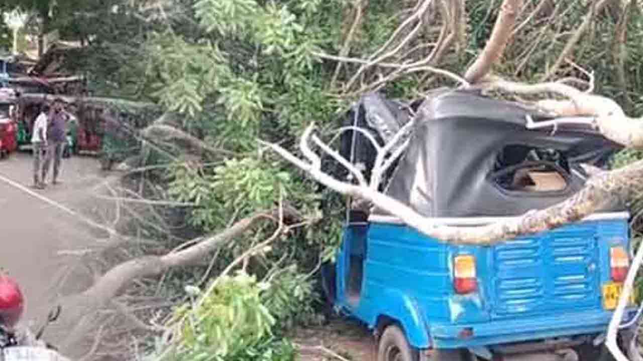 பிரதான வீதியில் முறிந்து விழுந்த மரம்!