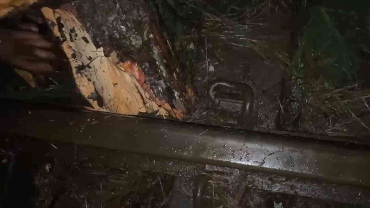 விபத்தை தடுத்த புகையிரத சாரதி