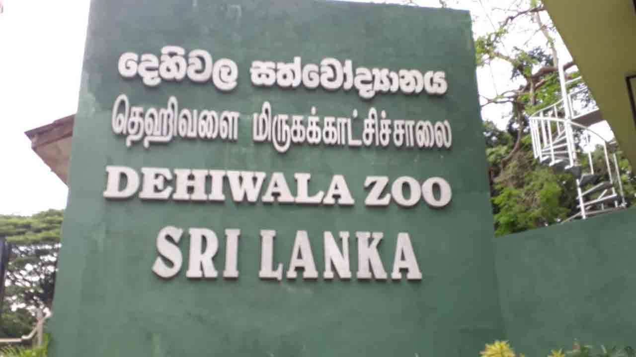 தெஹிவளை மிருகக்காட்சிசாலையின் பெயரைப் பயன்படுத்தி  பண மோசடி!