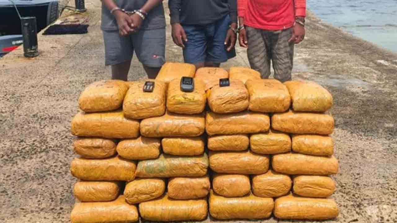 யாழில் 250 கிலோ கிராம் கஞ்சாவுடன் மூவர் கைது