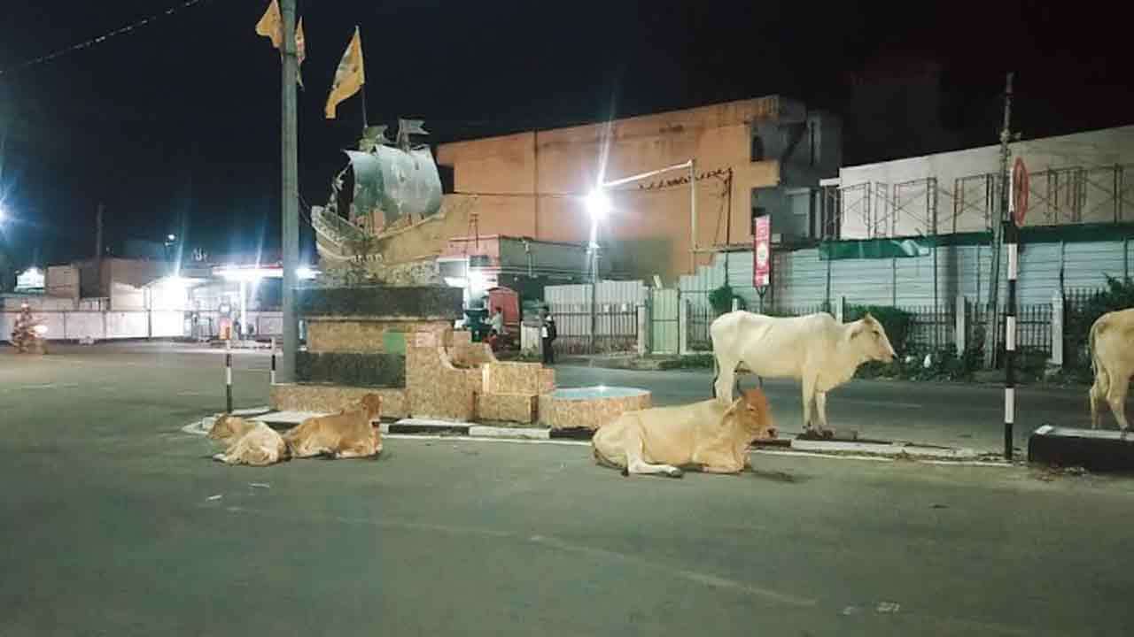 பொது போக்குவரத்துக்கு இடைஞ்சல்