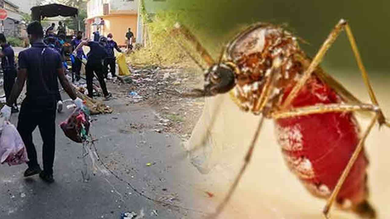 தேசிய நுளம்பு ஒழிப்பு வாரத்தின் மூன்றாவது நாளாக இன்றும் சோதனை!