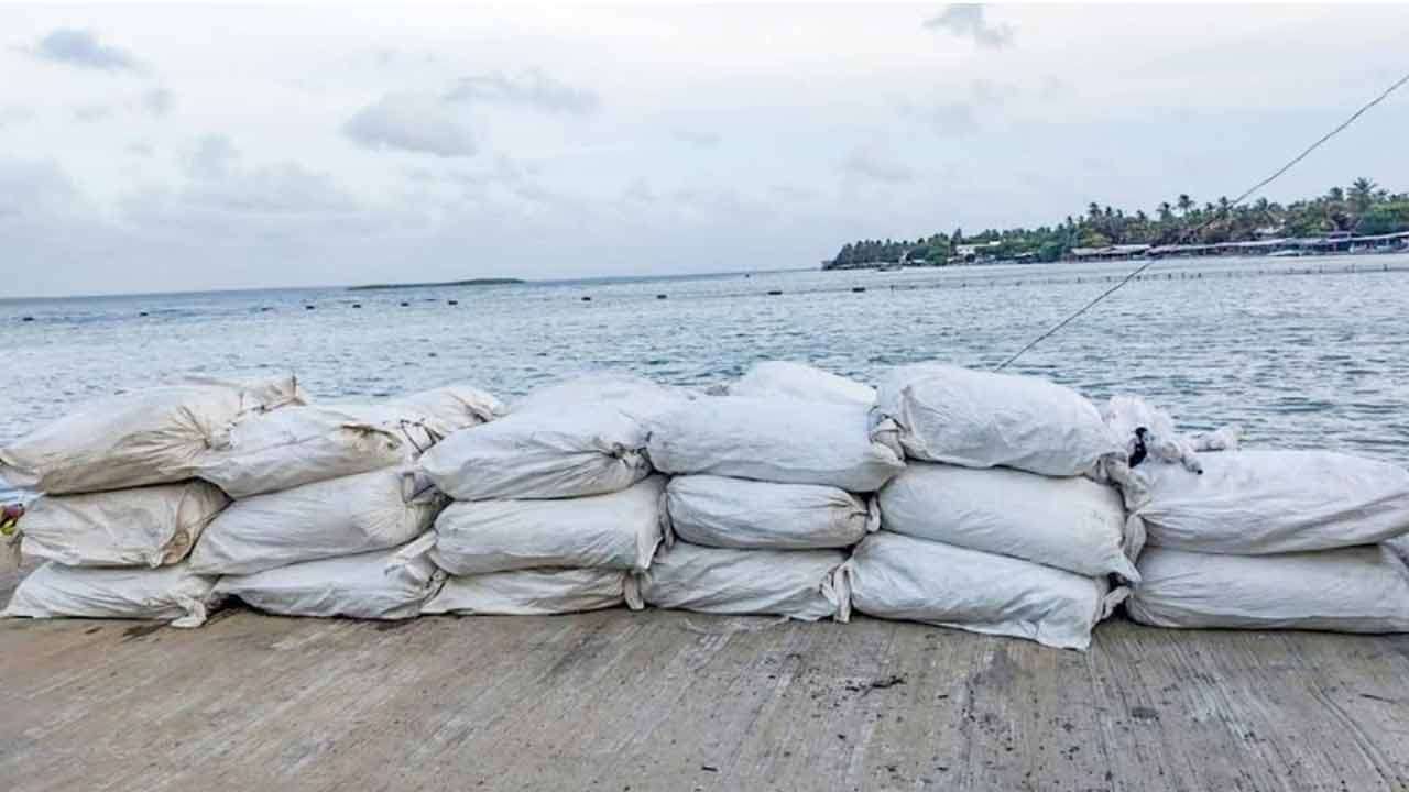 சட்டவிரோதமாகக் கொண்டு வரப்பட்ட உலர்ந்த இஞ்சி மீட்பு