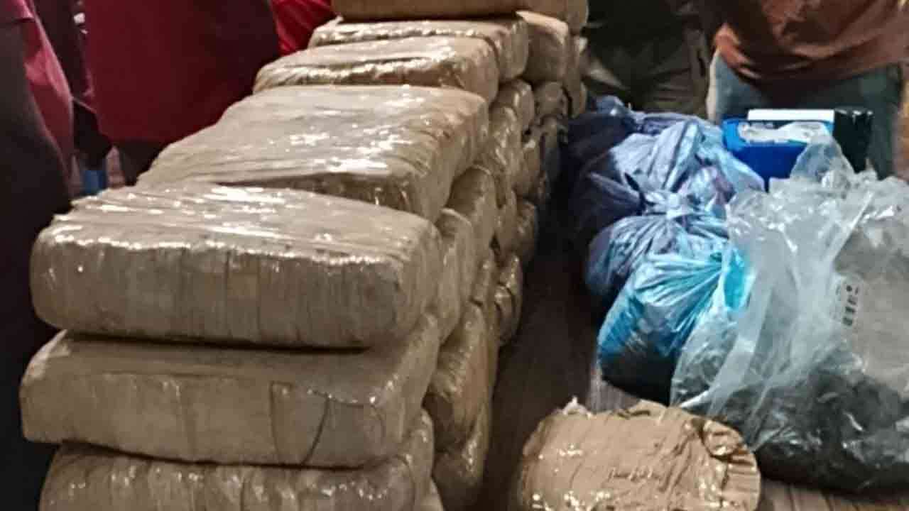 யாழில் பெருந்தொகை கேரளா கஞ்சா மீட்பு