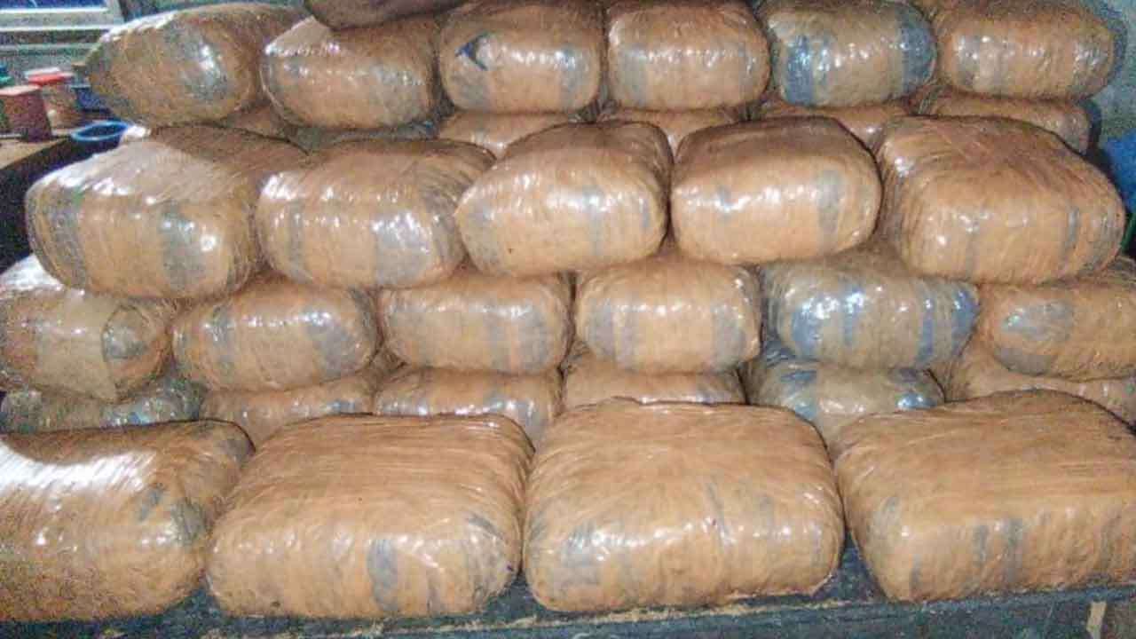 மன்னாரில் 20 மில்லியன் ரூபா பெறுமதியான கேரள கஞ்சா மீட்பு